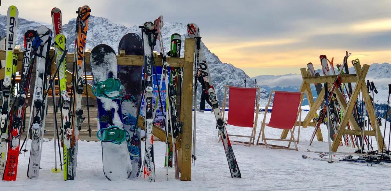 Hotel Alpina ピンツォーロ エクステリア 写真